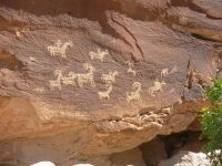 Petroglyphs at Wolfe Ranch